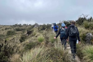 Bogotá: Mataredonda Páramo og Laguna de Teusacá vandretur