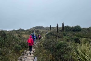 Bogotá: Mataredonda Páramo og Laguna de Teusacá vandretur