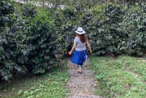 Bogotá: Privédagtocht naar de heuvel Monserrate en een koffieboerderij