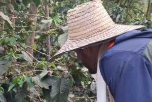 Bogotá: Privédagtocht naar de heuvel Monserrate en een koffieboerderij