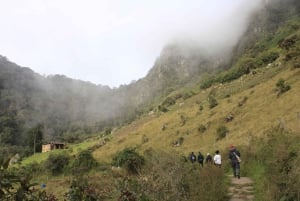 Bogotá: Privédagtocht naar de heuvel Monserrate en een koffieboerderij