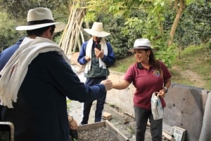 Bogotá: Privédagtocht naar de heuvel Monserrate en een koffieboerderij