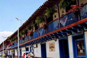 Bogota: Nemocon Salt Mine Private Tour with Guide