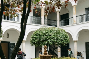 Bogotá: Privétour langs kunst, MAMBO, Botero, wijk San Felipe