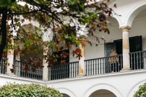 Bogotá: Privétour langs kunst, MAMBO, Botero, wijk San Felipe