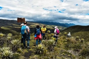 Bogotá: Excursión al Parque Nacional del Sumapaz con almuerzo