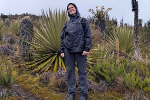 Randonnée dans le plus grand páramo du monde : Sumapaz