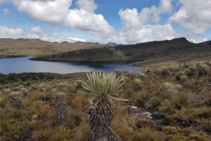 Randonnée dans le plus grand páramo du monde : Sumapaz