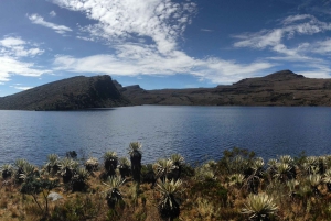 Randonnée dans le plus grand páramo du monde : Sumapaz
