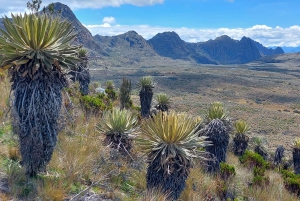 Randonnée dans le plus grand páramo du monde : Sumapaz