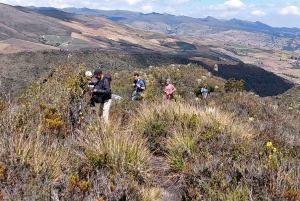 Randonnée dans le plus grand páramo du monde : Sumapaz