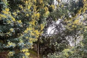 Guatavita: Tour a la Laguna de Guatavita, el Pueblo y Casa Loca