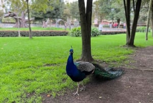 BOGOTA: Tour to Jaime Duque Park, Zoo and Aerospace Museum