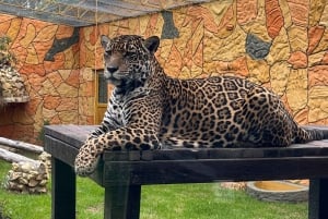 BOGOTA: Tour to Jaime Duque Park, Zoo and Aerospace Museum