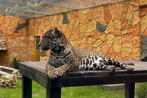 BOGOTA: Tour to Jaime Duque Park, Zoo and Aerospace Museum