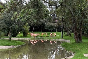 BOGOTA: Tour to Jaime Duque Park, Zoo and Aerospace Museum