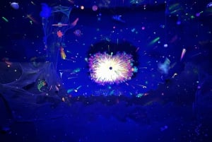 BOGOTA: Tour to Jaime Duque Park, Zoo and Aerospace Museum