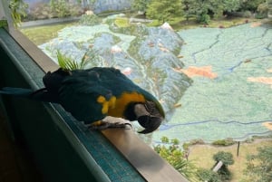 BOGOTA: Tour to Jaime Duque Park, Zoo and Aerospace Museum