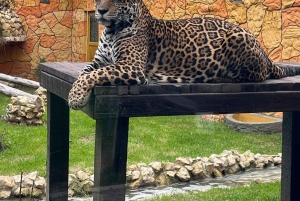 BOGOTA: Tur til Jaime Duque Park, Zoo og Aerospace Museum