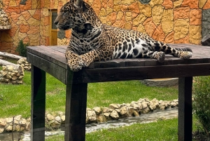 BOGOTA: Tur til Jaime Duque Park, Zoo og Aerospace Museum