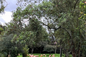 BOGOTA: Tur til Jaime Duque Park, Zoo og Aerospace Museum