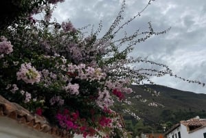 ボゴタ：ヴィラ デ レイバ ラキラ ポソス アズレスなどへのツアー