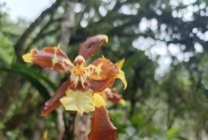 Bogotá: Tropicarium ja kasvitieteellinen puutarha -kierros