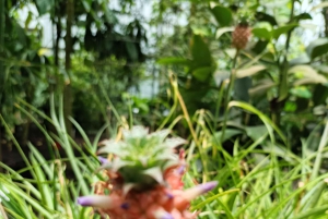 Bogotá: Tropicarium ja kasvitieteellinen puutarha -kierros