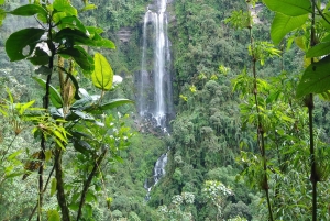 Bogota: Odwiedź najwyższe wodospady Kolumbii i wzgórze Guadalupe