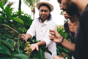 Bogotá: Visit to a Coffee Farm with lunch included
