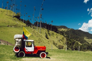 Bogotá: Visit to a Coffee Farm with lunch included