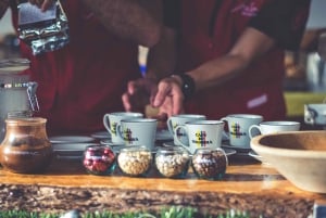 Bogotá: Visit to a Coffee Farm with lunch included