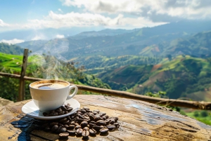 Bogotá: Visit to a Coffee Farm with lunch included
