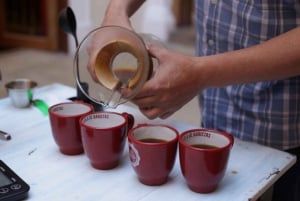 Shared Tour Bogota's Street Local Food