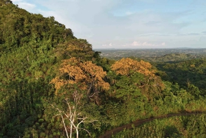 Bolivar: ATV Tour Through Mountains & Wildlife in a Reserve
