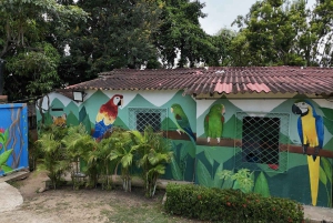 Bolivar: ATV Tour Through Mountains & Wildlife in a Reserve