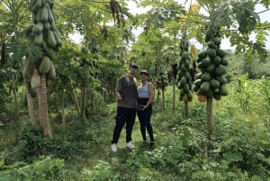 Bolivar: ATV Tour Through Mountains & Wildlife in a Reserve