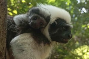 Bolivar: ATV Tour Through Mountains & Wildlife in a Reserve