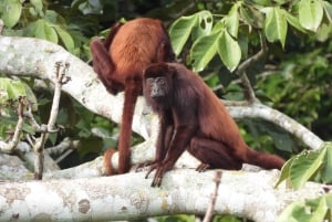 Bolivar: ATV Tour Through Mountains & Wildlife in a Reserve