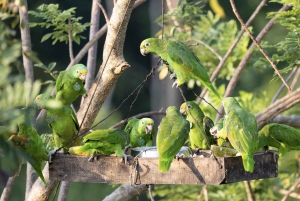 Bolivar: ATV Tour Through Mountains & Wildlife in a Reserve