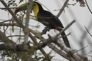 Bolivar: ATV Tour Through Mountains & Wildlife in a Reserve