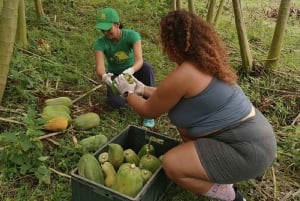 Bolivar: ATV Tour Through Mountains & Wildlife in a Reserve