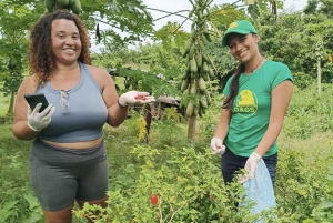 Bolivar: ATV Tour Through Mountains & Wildlife in a Reserve
