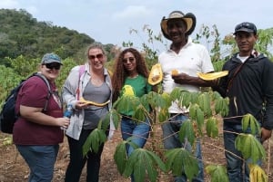 Bolivar: ATV Tour Through Mountains & Wildlife in a Reserve