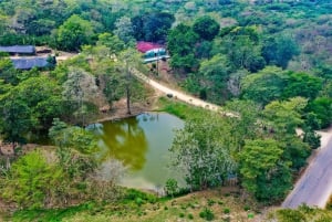 Bolivar: ATV Tour Through Mountains & Wildlife in a Reserve