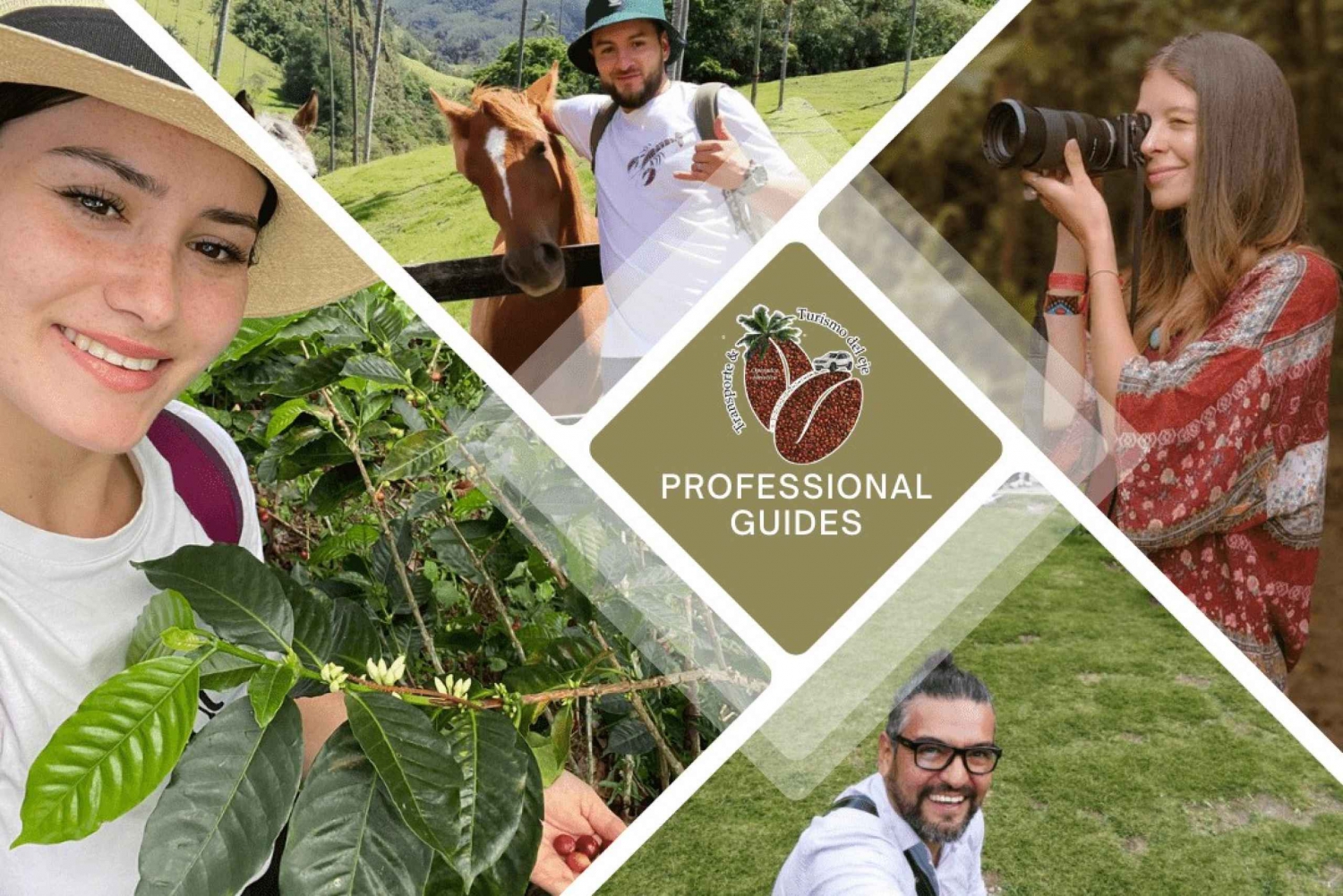 Book a Private Tourist Guide through the Coffee Region