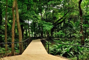 Medellín: Botanical Garden and Comuna 4 Tour with Museum