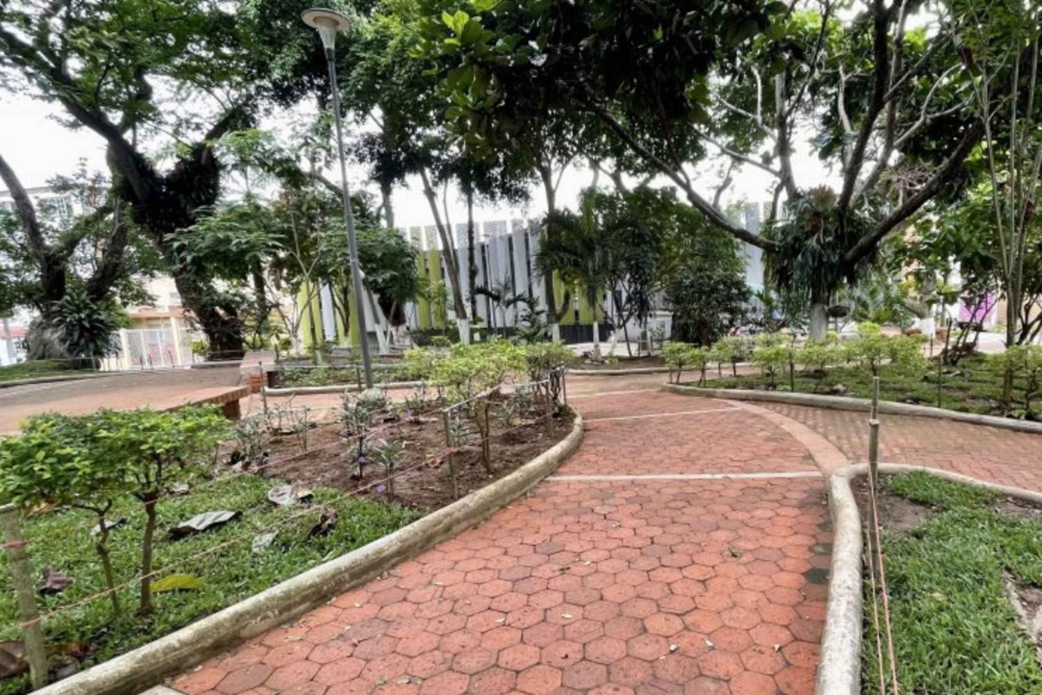 Bucaramanga: gastronominen kävelyretki perinteisten herkkujen parissa