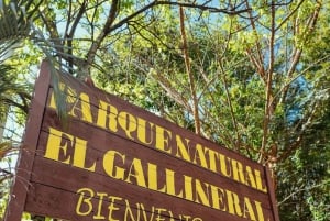 Bucaramanga: Citytour to Barichara - Tour de Pueblitos, leaving from Bucaramanga