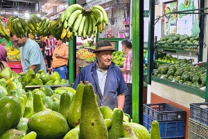 Bucaramanga: Kulturell og gastronomisk tur på hovedtorget